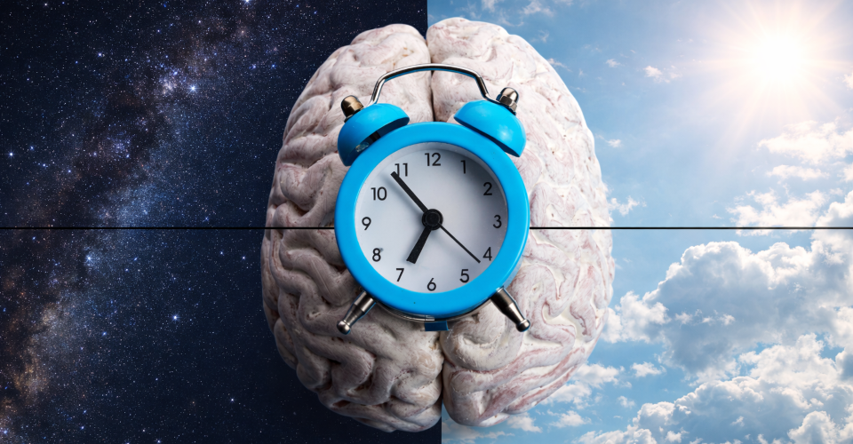 Het circadiaans ritme: fundament voor gezondheid, stressregulatie en prestaties