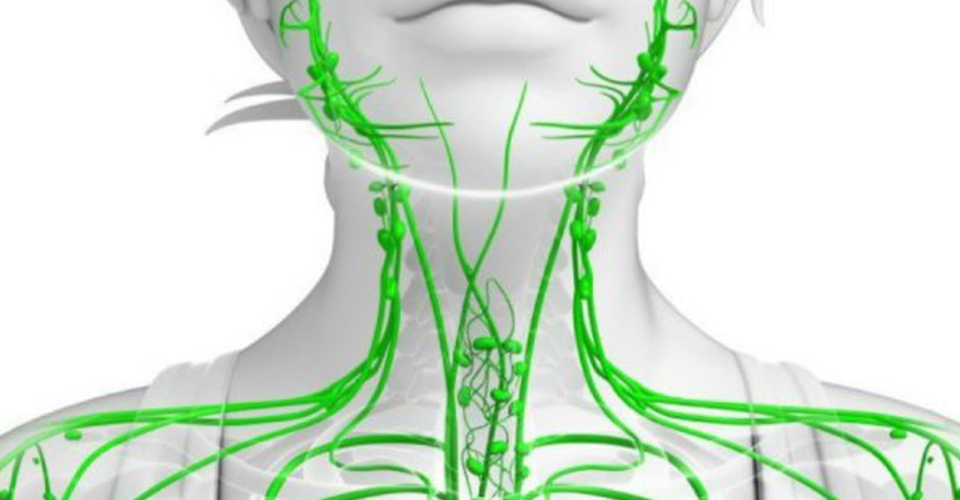 Waarom Ademhaling de Sleutel is tot een Gezond Lymfestelsel
