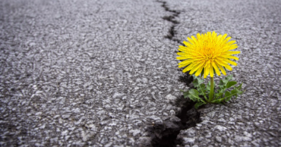 De 8 pijlers van een veerkrachtig leven